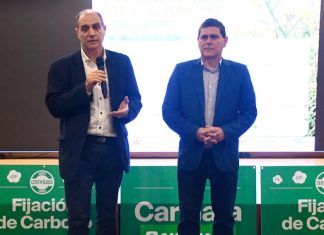 Presentaron en el Nodo las potencialidades del cultivo de carinata como alternativa productiva en la provincia
